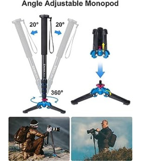 Monopod NEST NT229C