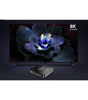 Hugsun-X88 Pro 20-64G